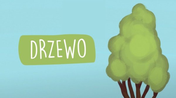 Drzewo